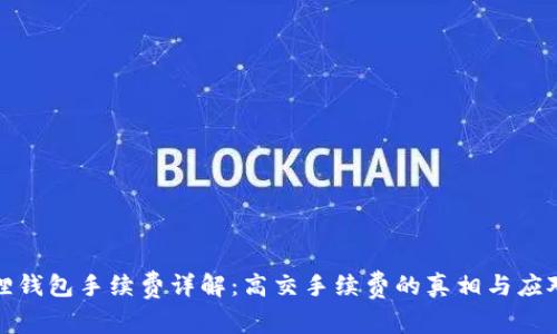小狐狸钱包手续费详解：高交手续费的真相与应对策略